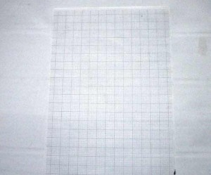 grille broderie vierge