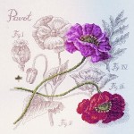 modèle a broder au point de croix