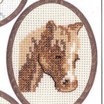 modèle broderie debutant