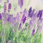 motif broderie lavande