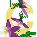 motifs broderie en pes