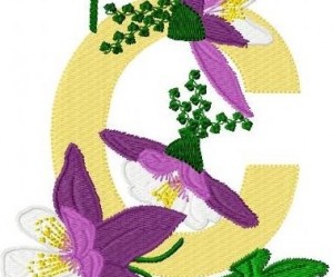 motifs broderie en pes