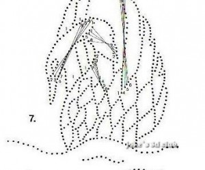 patron broderie sur carte