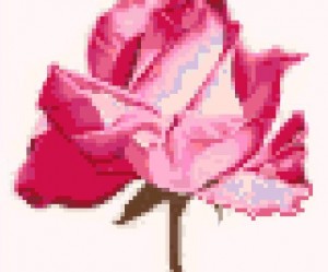 grille broderie harley davidson