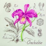 grille broderie orchidée