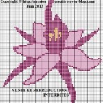 grille broderie orchidée