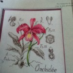 grille broderie orchidée