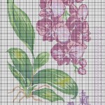 grille broderie orchidée