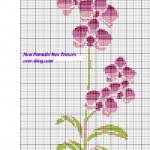 modèle broderie orchidee