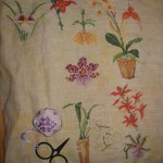 modèle broderie orchidee