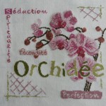 modèle broderie orchidee