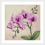 modèle broderie orchidee