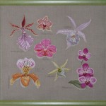 modèle broderie orchidee