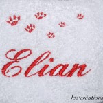 modèle broderie prénom