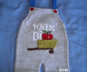 modèle broderie sur tricot