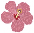 motif broderie hibiscus