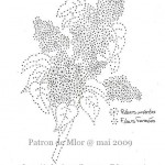 patron de broderie sur carte