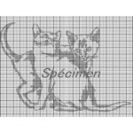 grille broderie chat