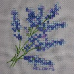 grille broderie lavande