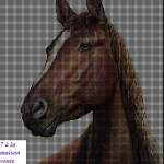 modèle broderie cheval