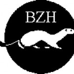 grille broderie+hermine