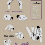 grille broderie judo