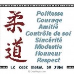 grille broderie judo