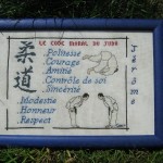 grille broderie judo