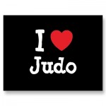 grille broderie judo