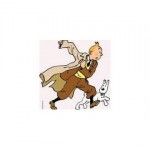 grille broderie tintin