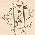 modèle broderie blanche