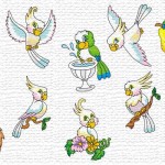 motif broderie format jef