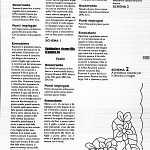 motif broderie richelieu