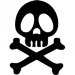 patron broderie tete de mort