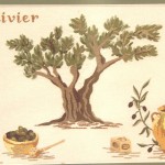 grille broderie olives