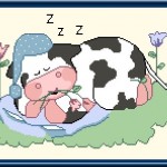 modèle broderie vache