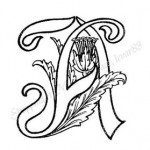 modèle d'alphabet broderie