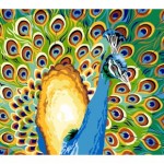 patron canevas broderie