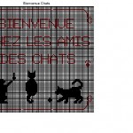 grille broderie bienvenue