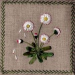 modèle broderie au ruban de soie